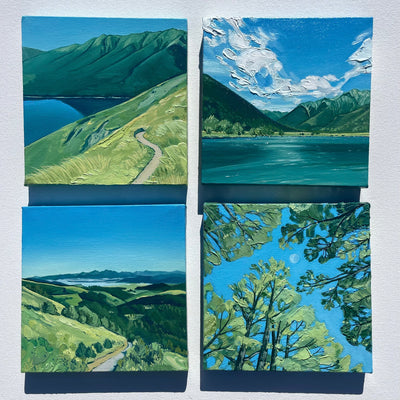 Lake Rotoiti Mini Series