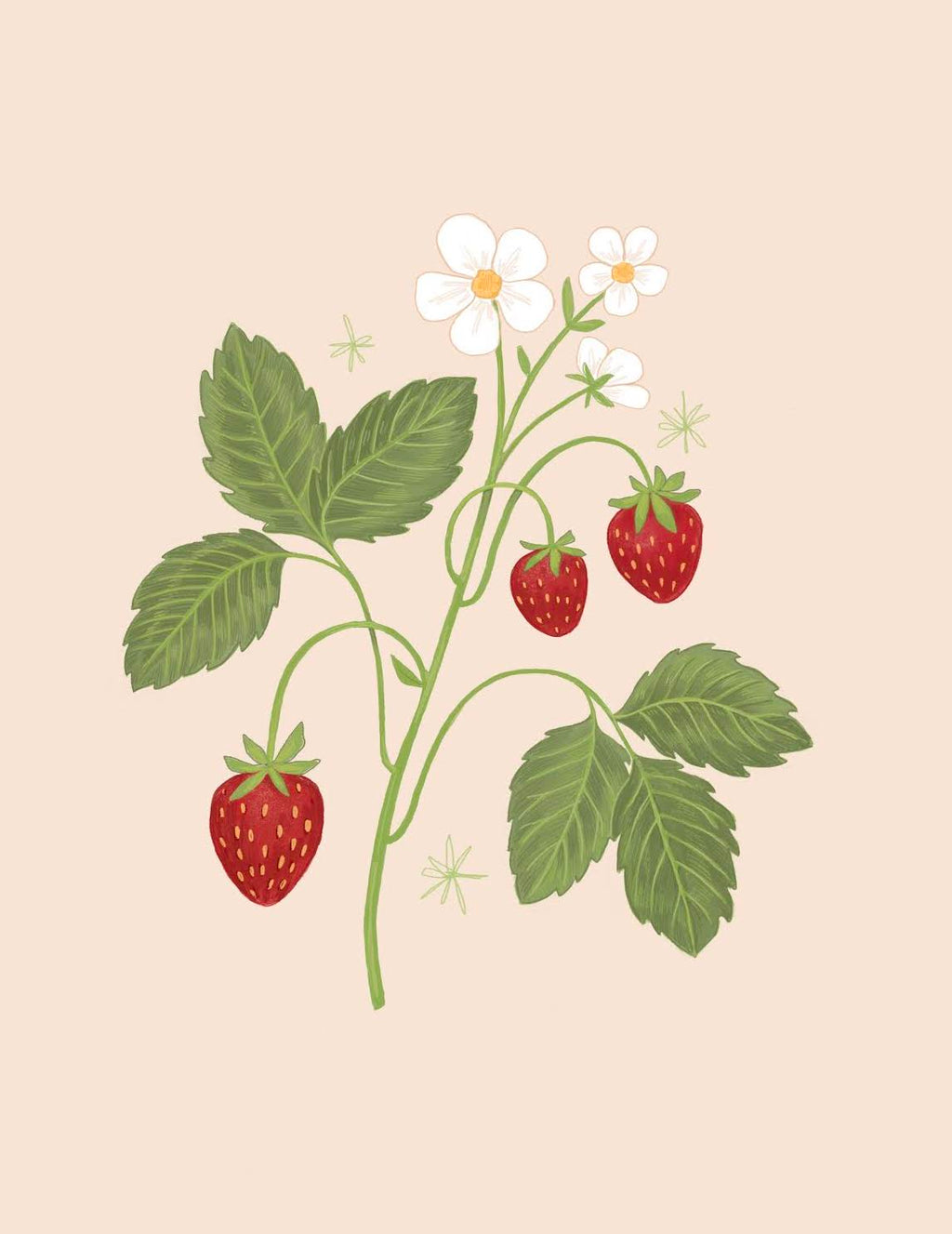Sweet as a strawberry