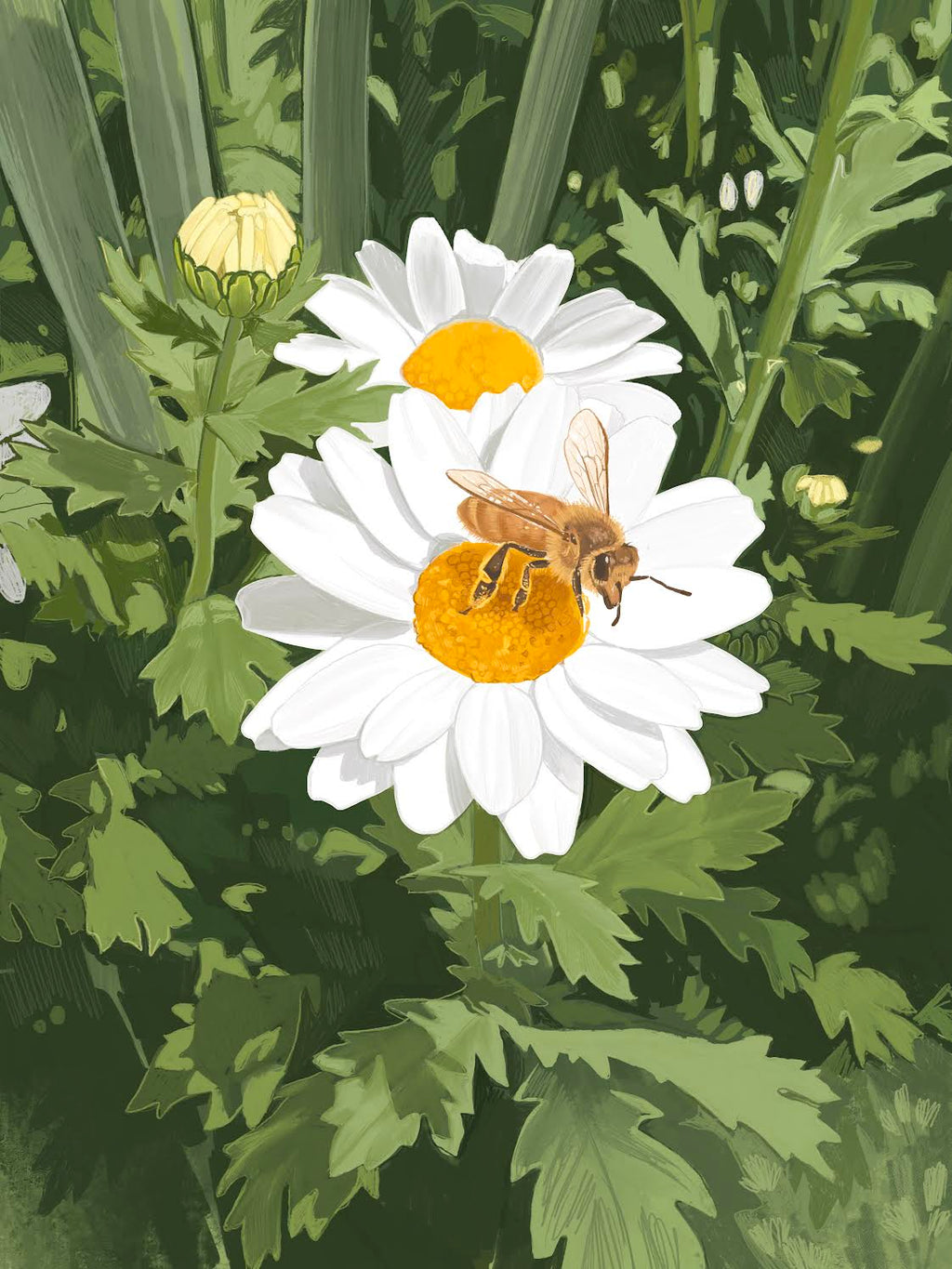 Lush Daisy