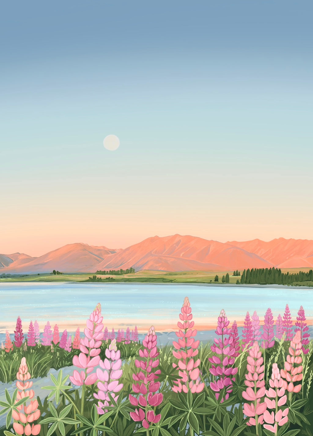 Lake Tekapo