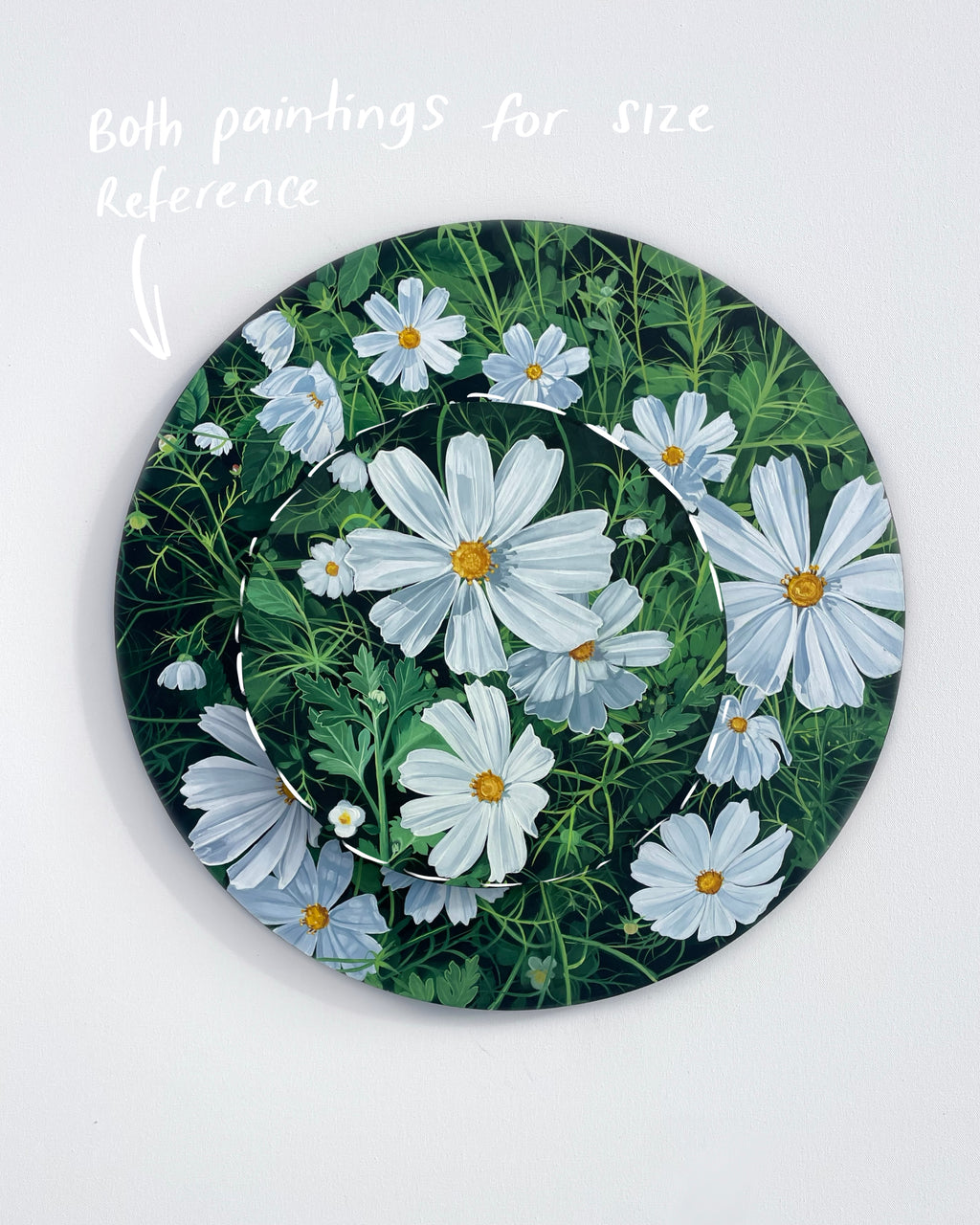 Garden Cosmos